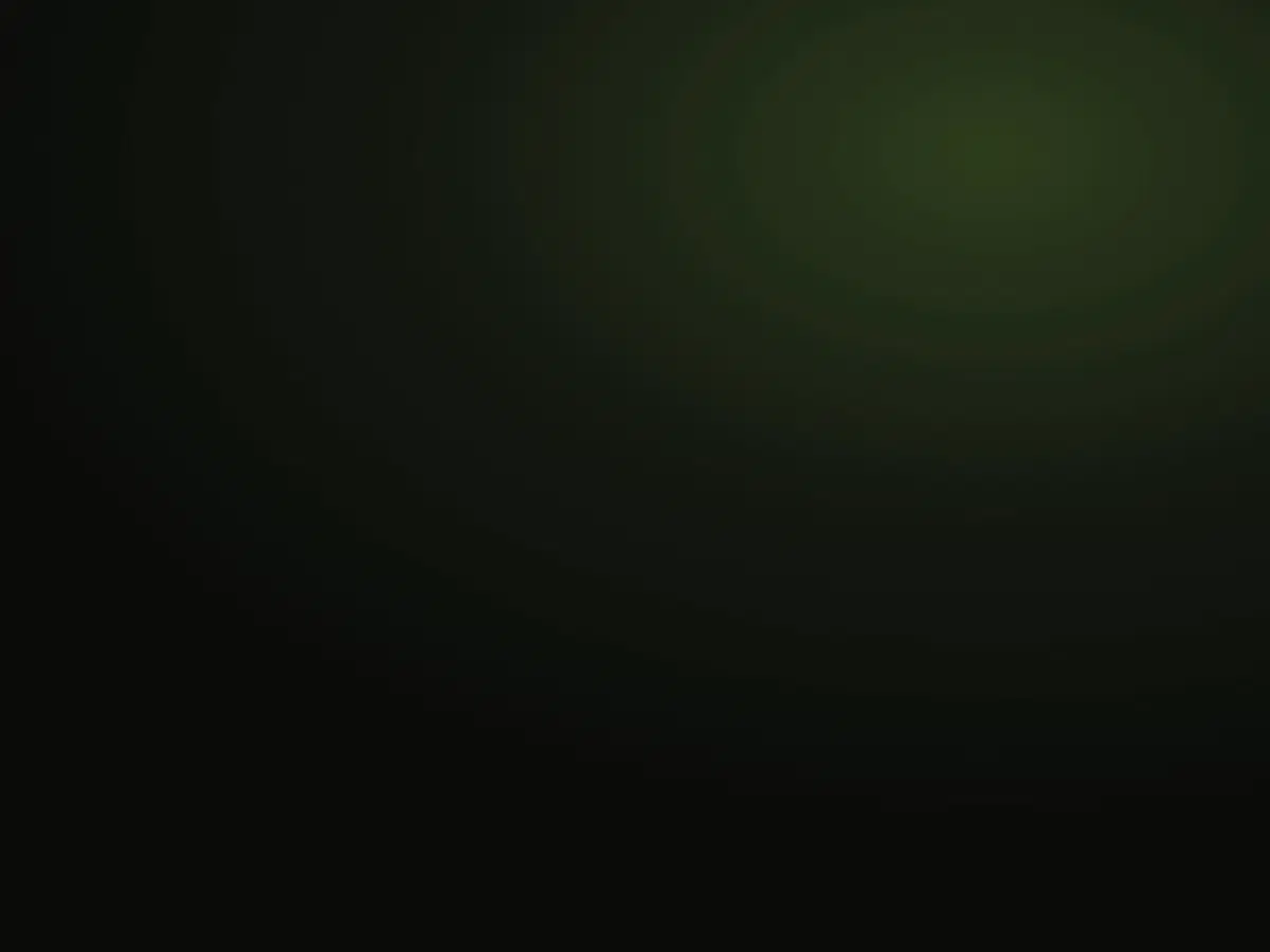 ImageSlide<b>화면부터 서버까지 서비스 구현하기</b>