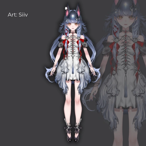 Live2D Rigger, Hooli Exercise
