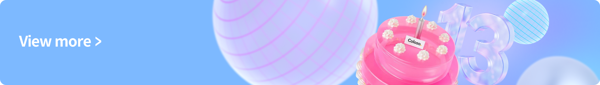 13th Birthday Party banner
