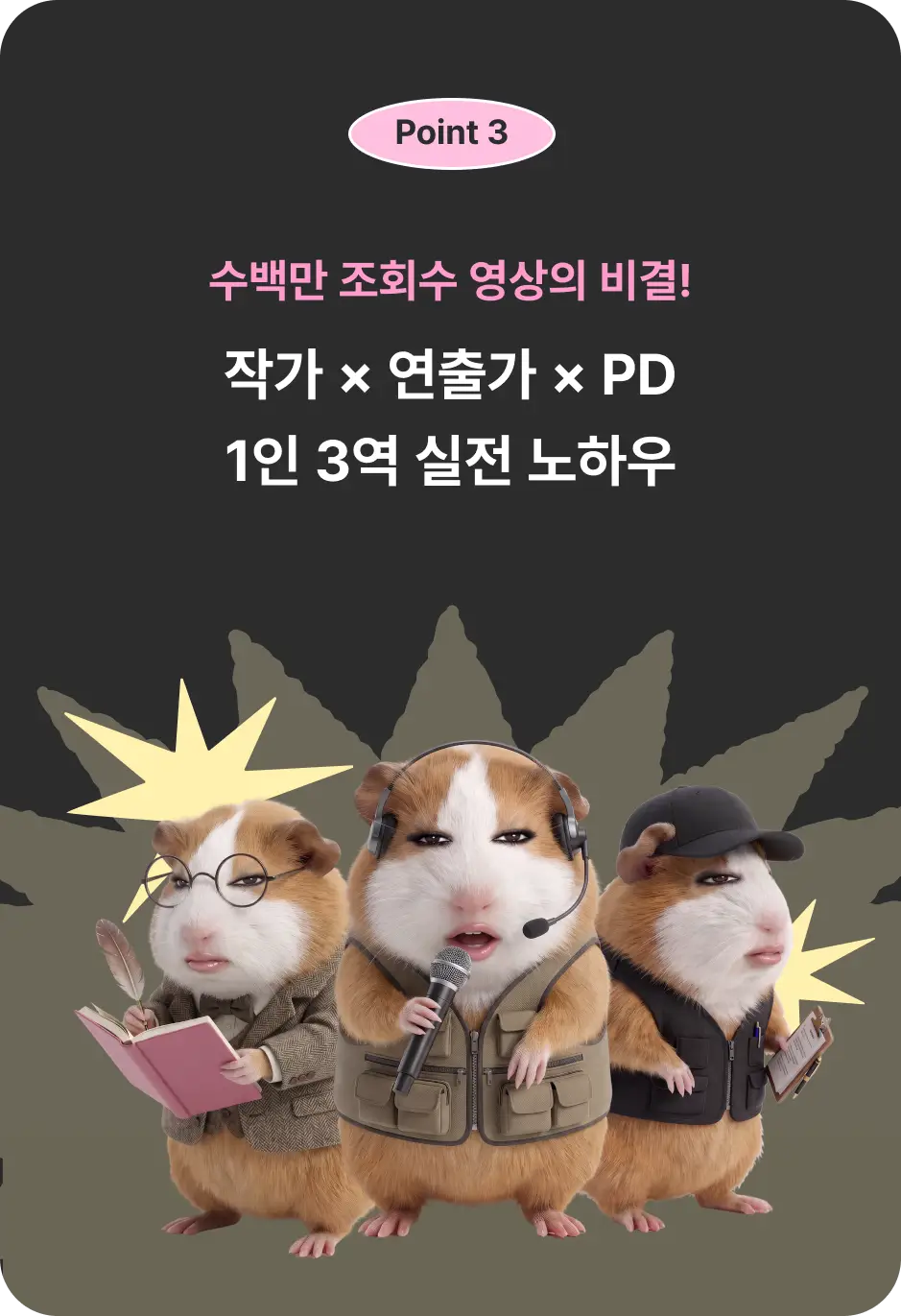 ImageSlide