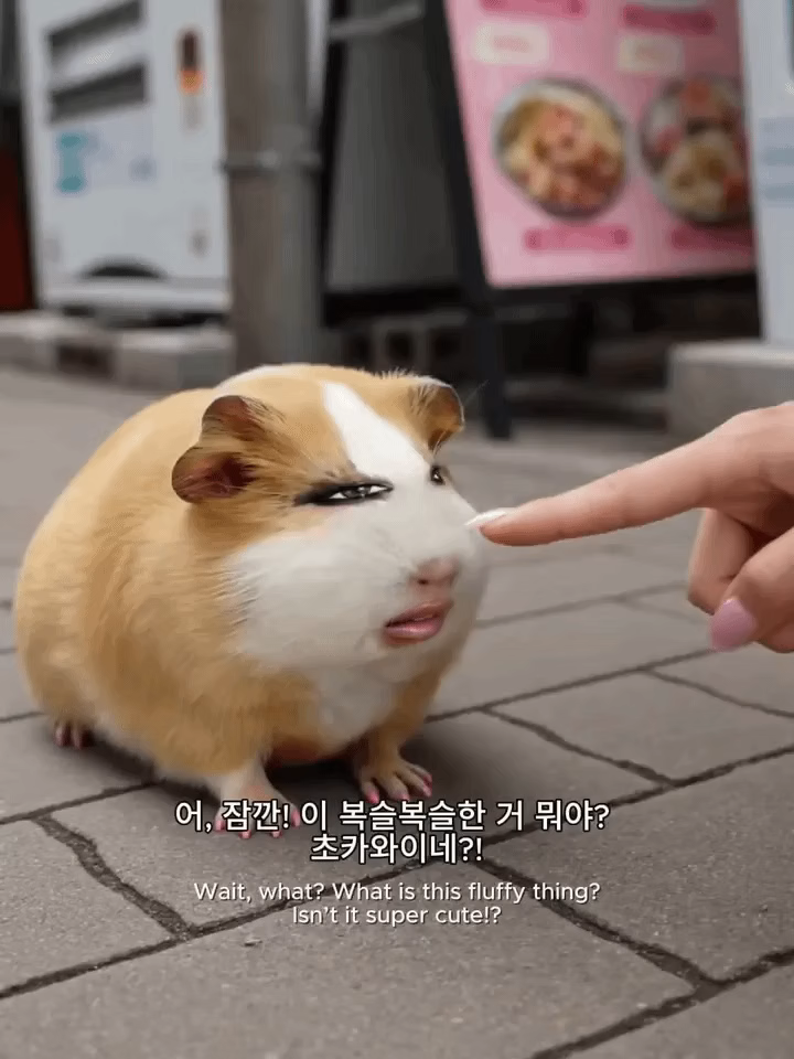 ImageSlide<b> <span style = "font-size:16px; "> 갈등과 반전 활용 </span> </b> <br> 인물 간 갈등과 예상치 못한 상황으로 이야기에 긴장감을 더하고, 다음 전개에 대한 궁금증을 유발합니다