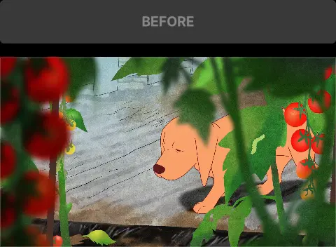 ImageSlide<font color=cccccc><b>시퀀스 변화</b></font>