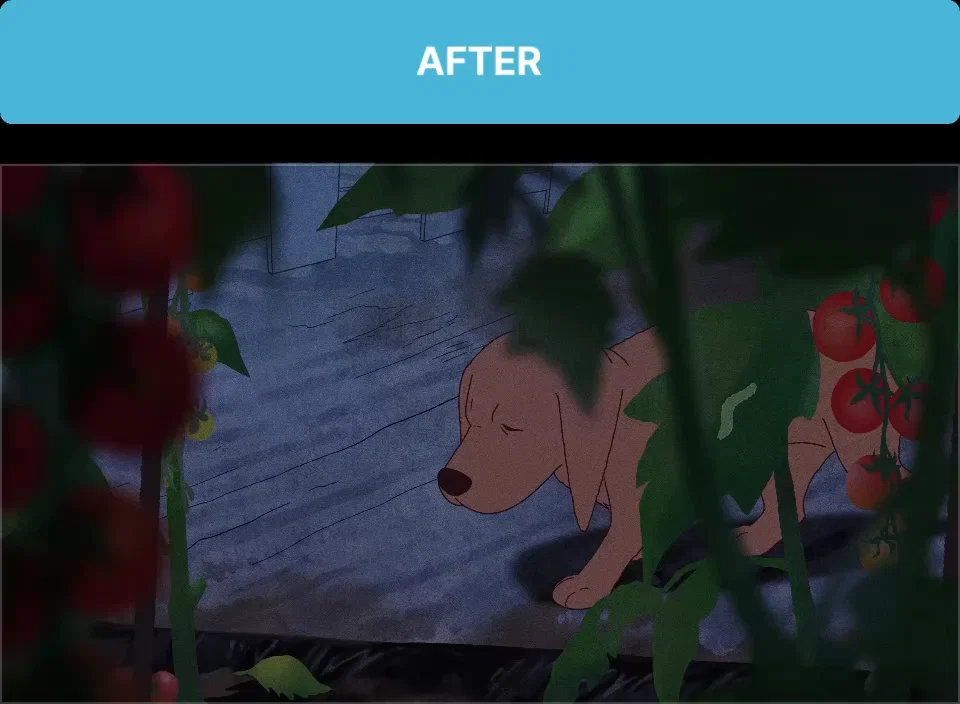ImageSlide<b>최종 작업물</b>